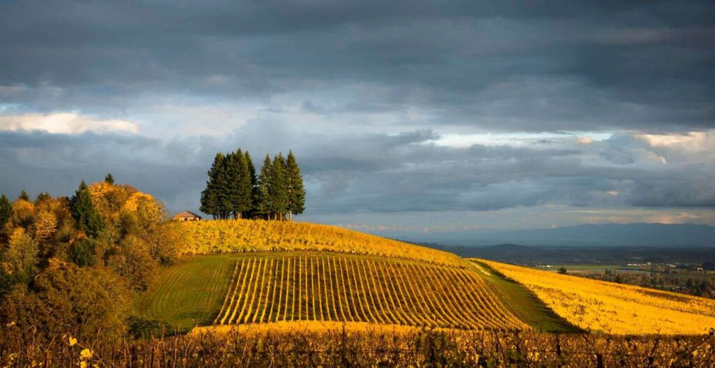 Home Away from Home: The Willamette Valley