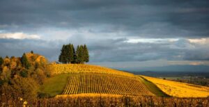 Une Deuxième Maison : La Vallée de Willamette