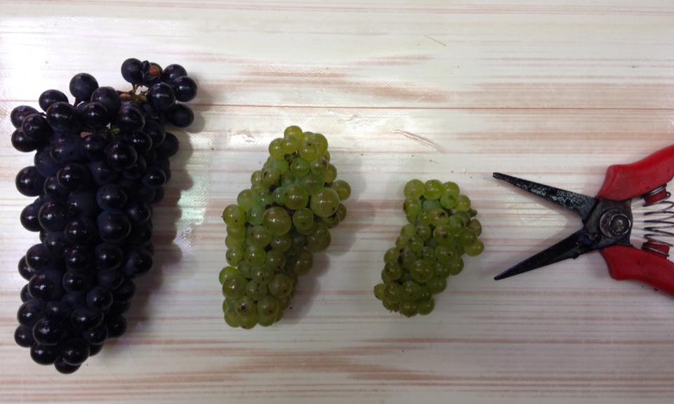 Harvest Through History : Today (Part Three)