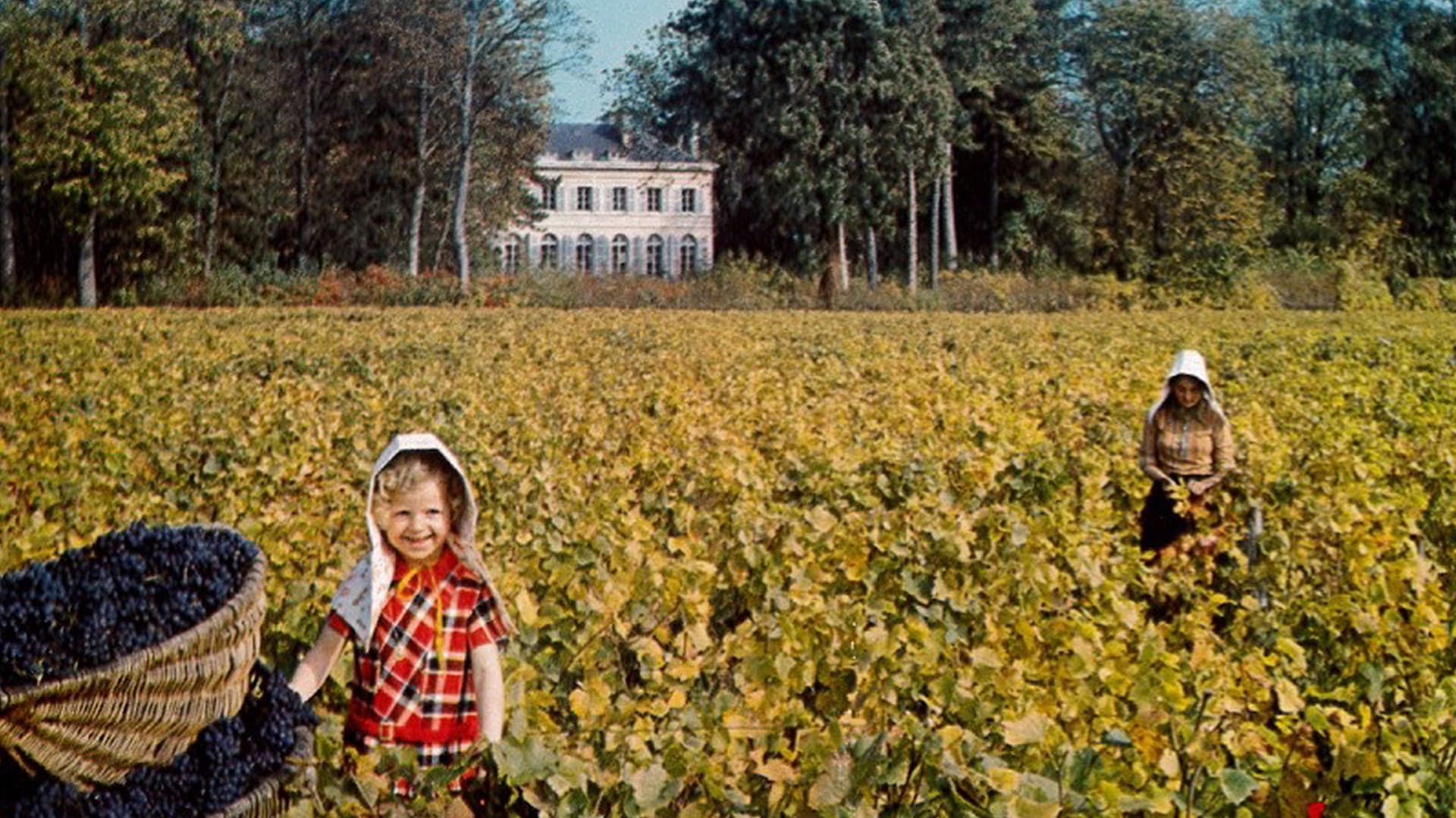 The Second Chateau