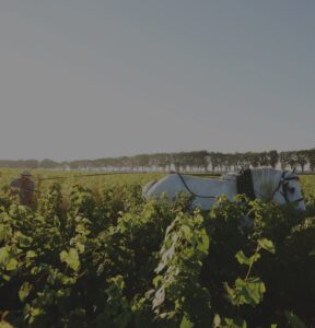 Wine Enthusiast conquis par les cuvées du Château de Pommard