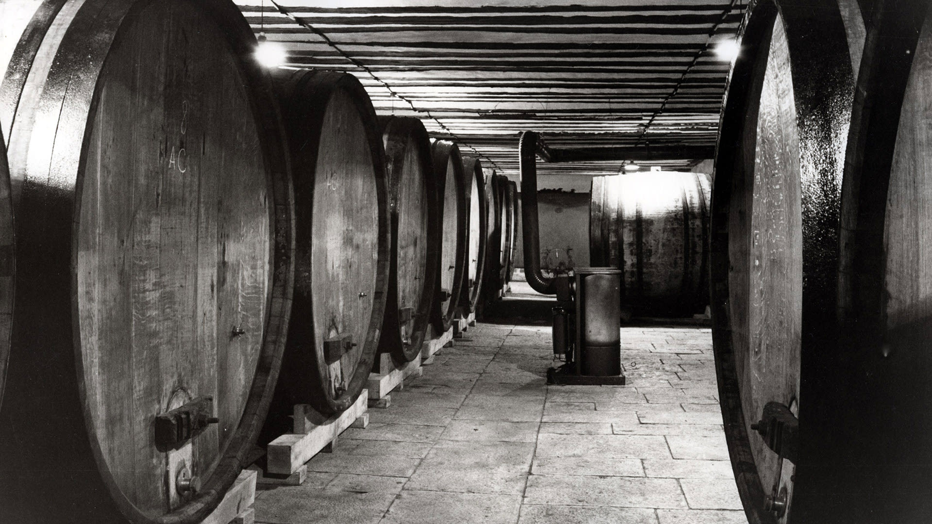 Oak to Steel Fermentation