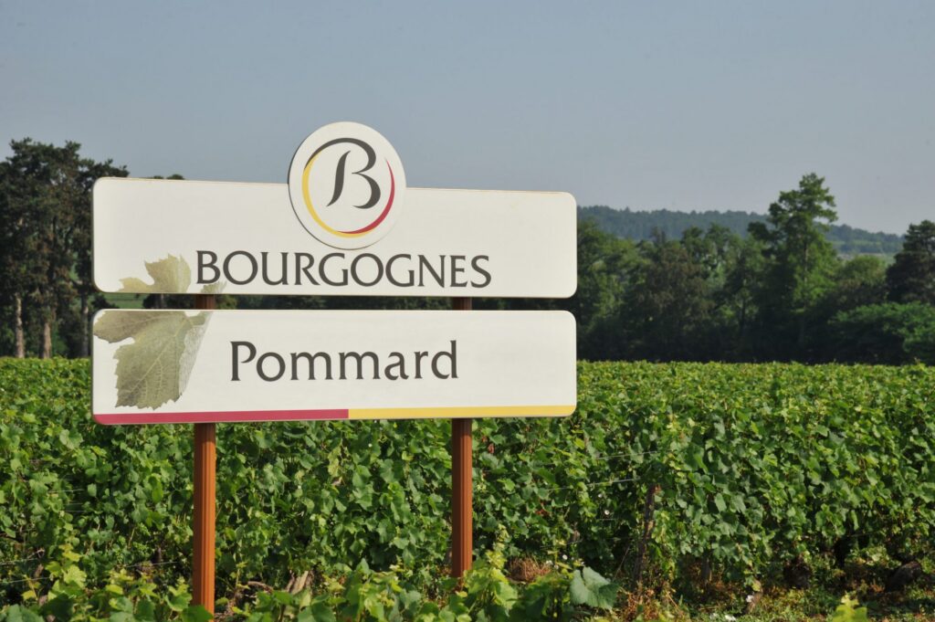 At the Heart of Burgundy