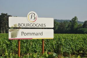 At the Heart of Burgundy