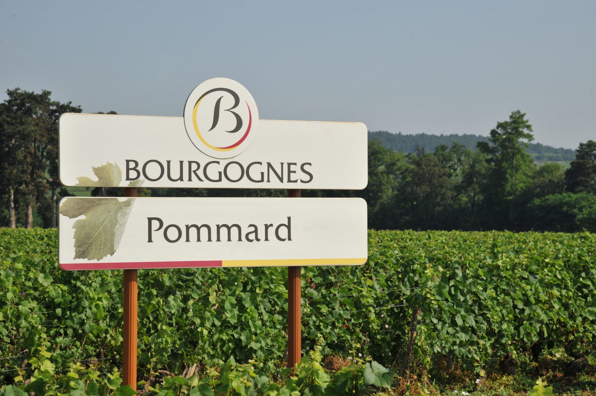 At the Heart of Burgundy