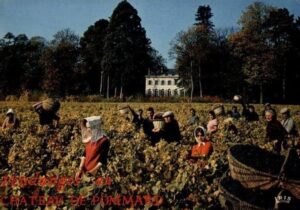 Harvest Through History : Yesteryear (Part One)