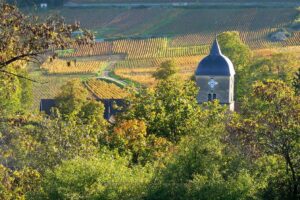 À la une : Chambolle-Musigny