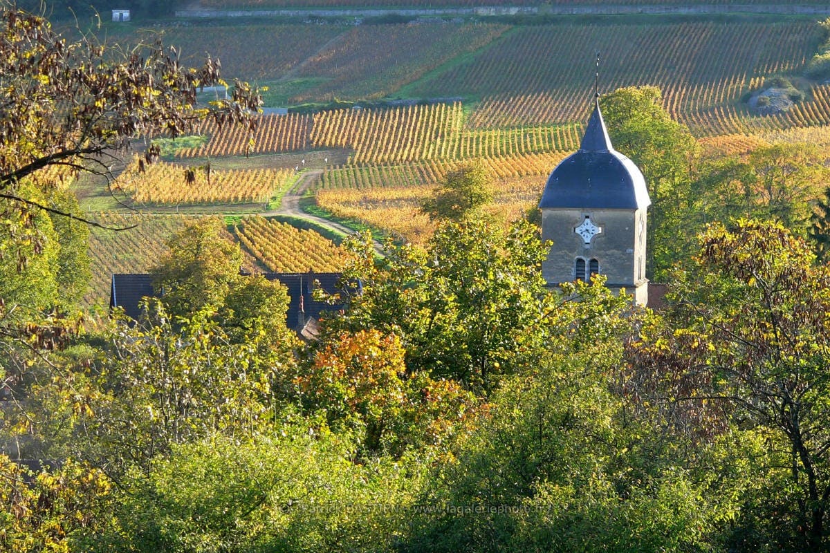 À la une : Chambolle-Musigny