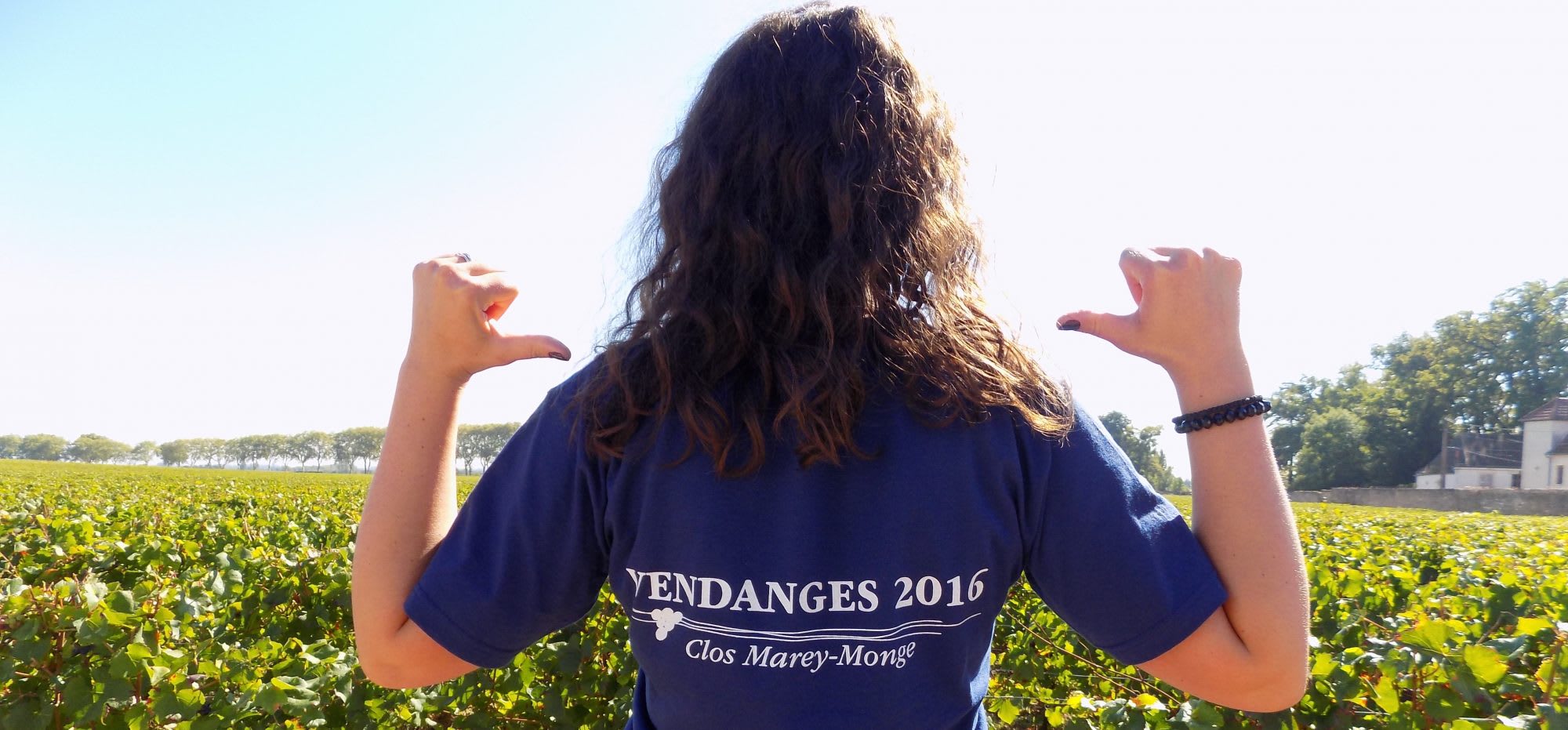 Harvest 2016 : A Retrospective