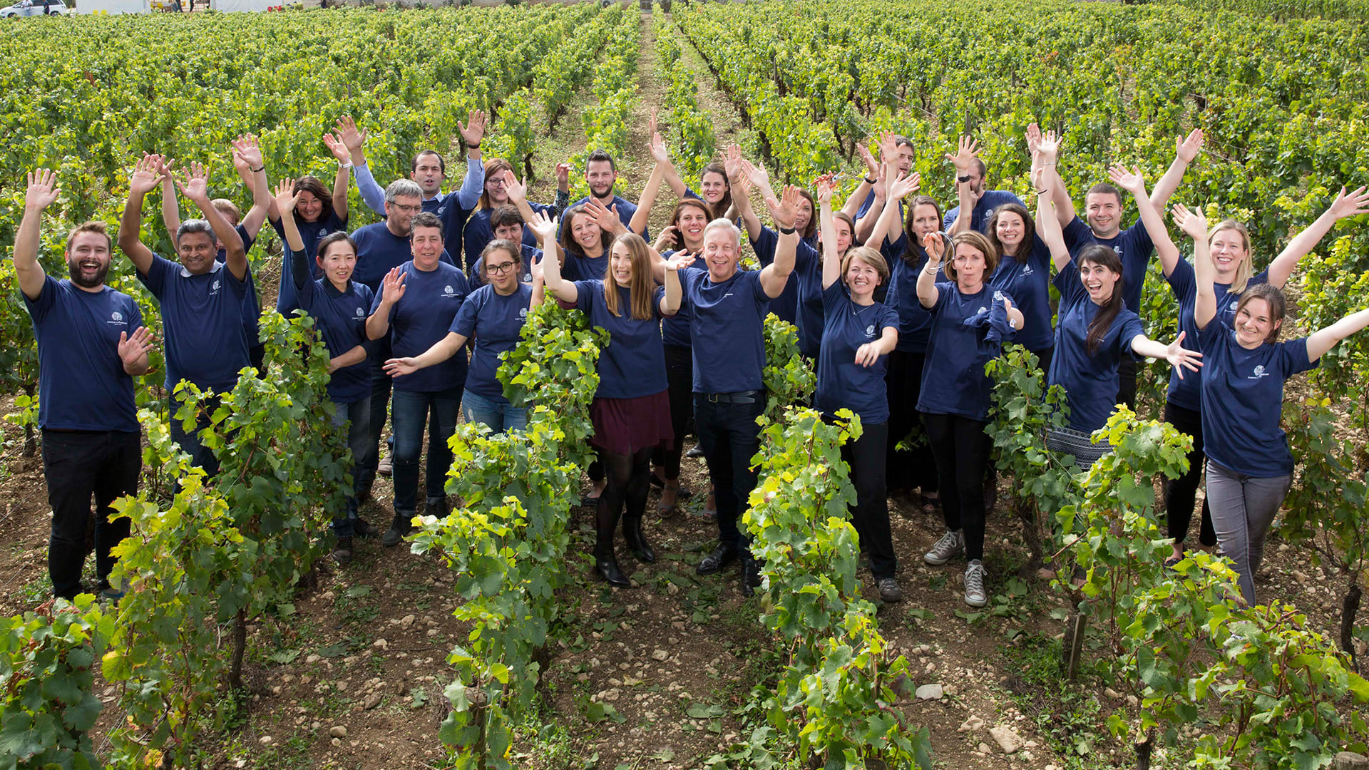 Beautiful Wines Created by an Amazing Team