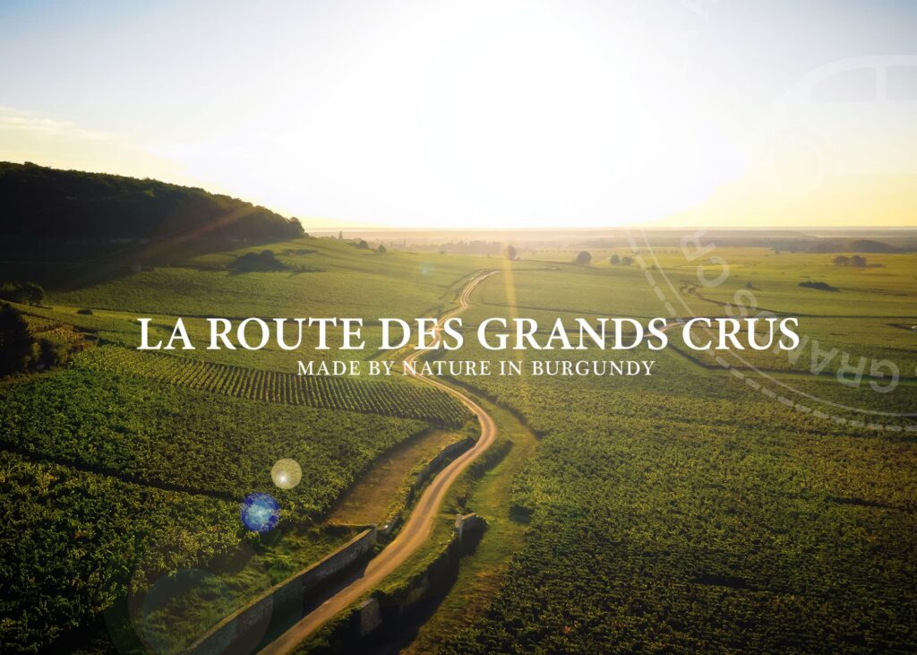 Made By Nature en Bourgogne – Partez sur la Route des Grands Crus en ligne ou en personne