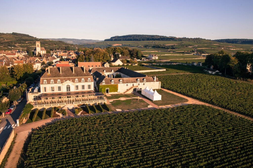 A Winemaker’s Time in Pommard