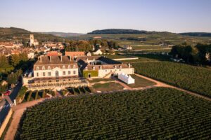 A Winemaker’s Time in Pommard