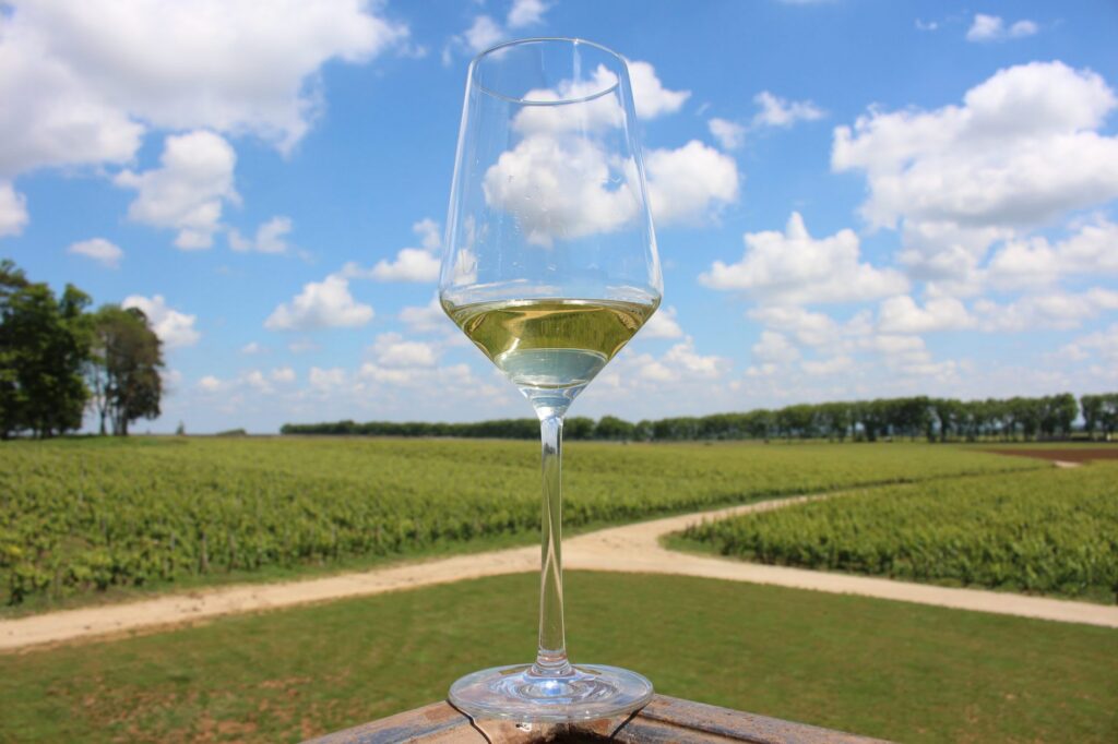 Sept Raisons Qui Vont Vous Faire Adorer le Vin Blanc cet Été