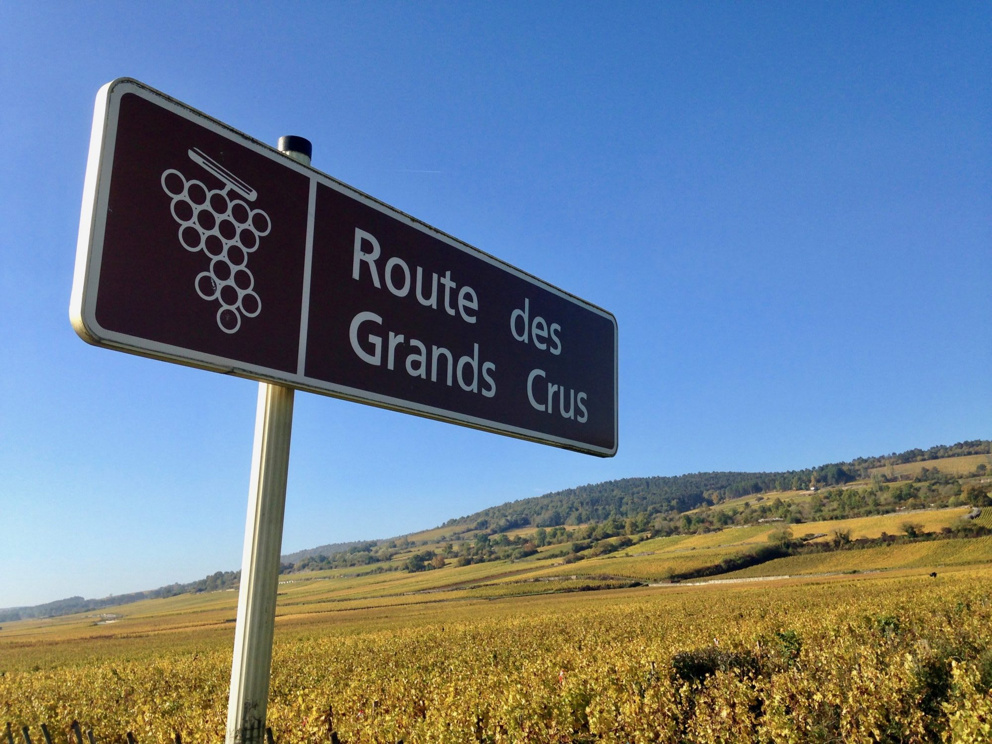 1937-2017: 80th Anniversary of the Route des Grands Crus