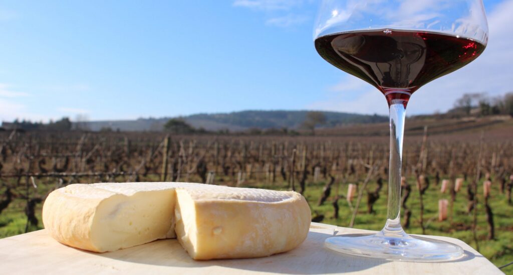 Take Our Wine Advisor’s Wine and Cheese Challenge!