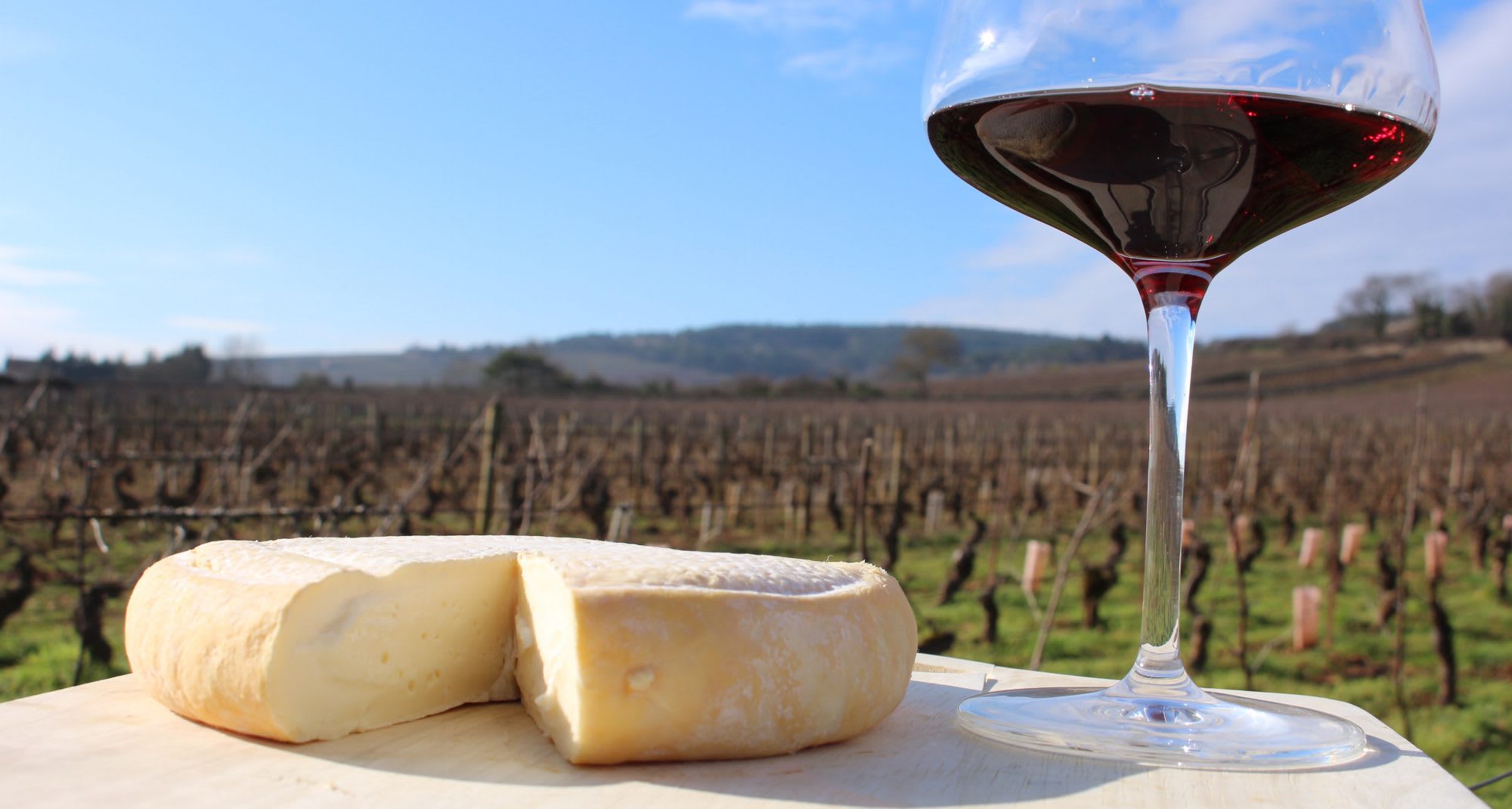 Take Our Wine Advisor’s Wine and Cheese Challenge!