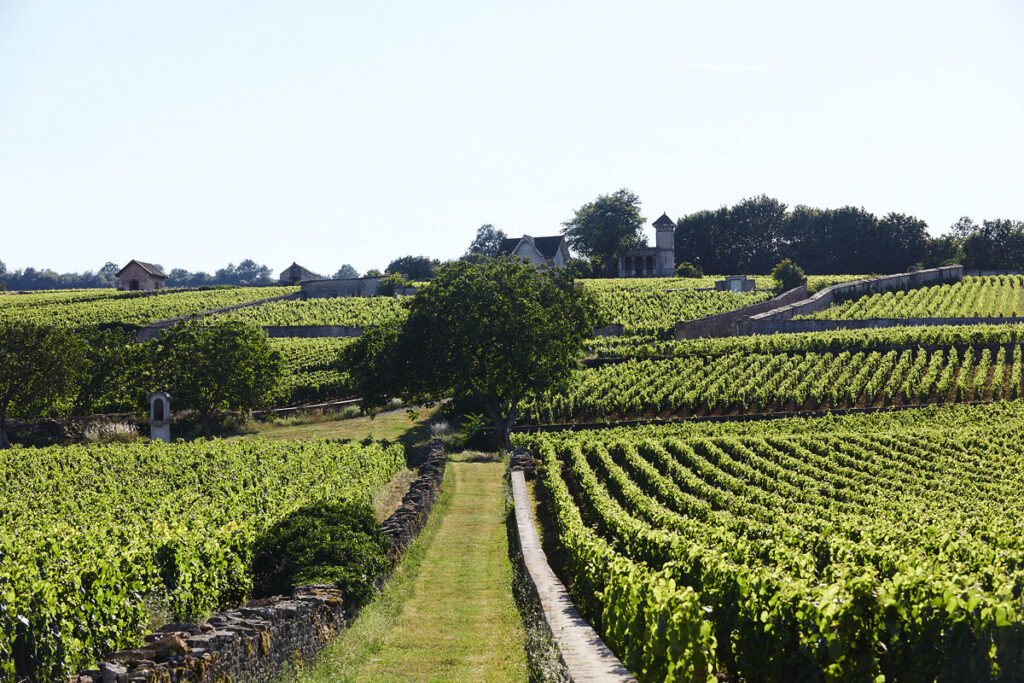 D’où vient mon vin ?
