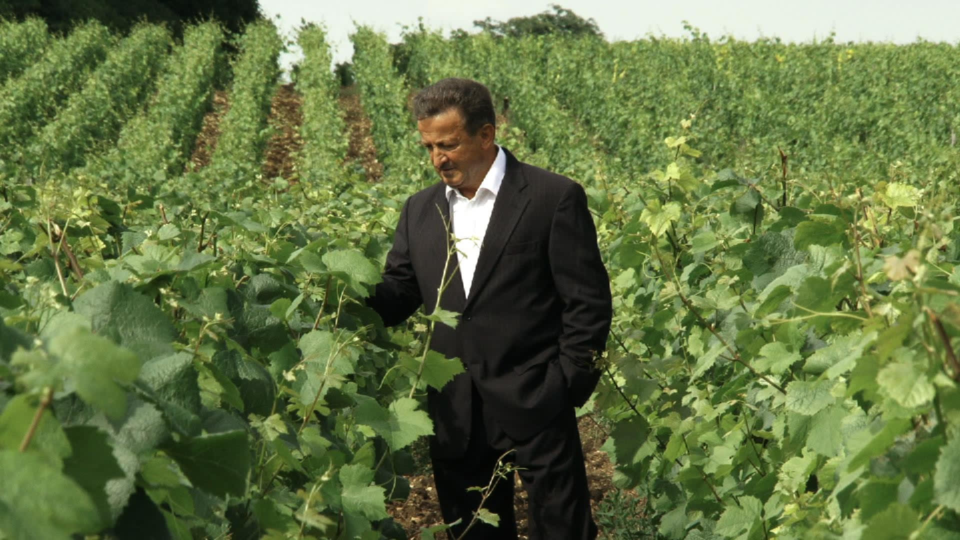 Famille Giraud (2003 – 2014)