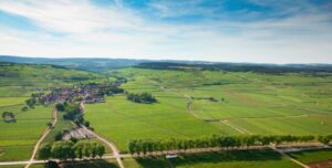 11 Reasons to Visit Château de Pommard this August