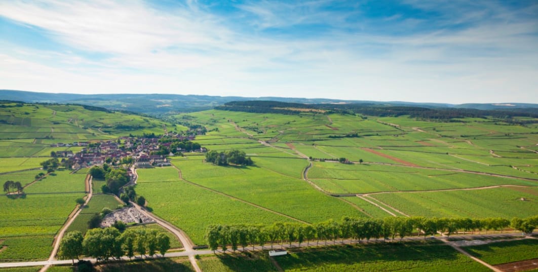 11 Reasons to Visit Château de Pommard this August