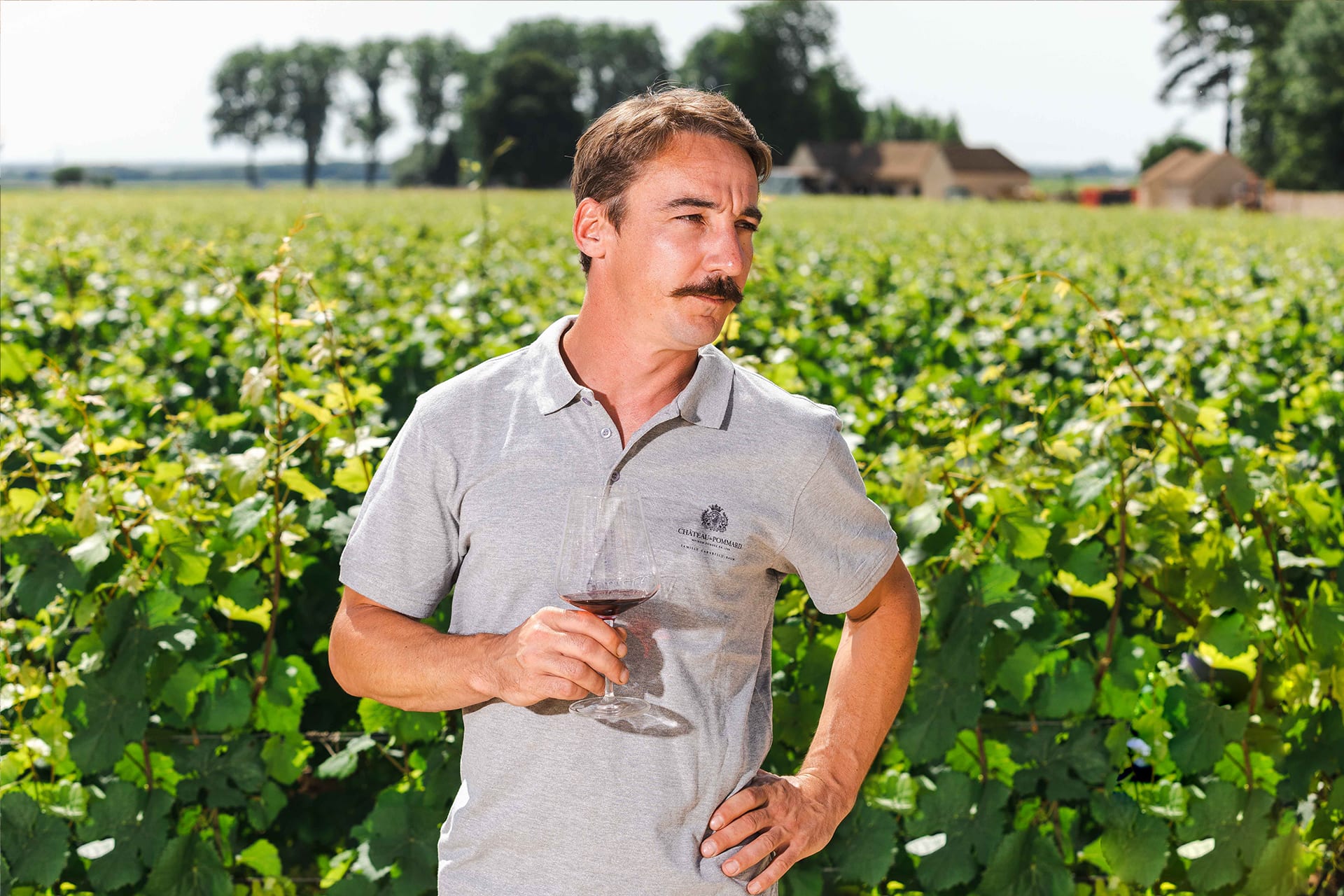 Château de Pommard releases its new 2020 organic vintage
