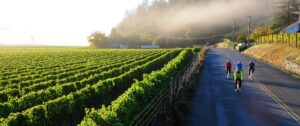 À la Une : Healdsburg, Californie