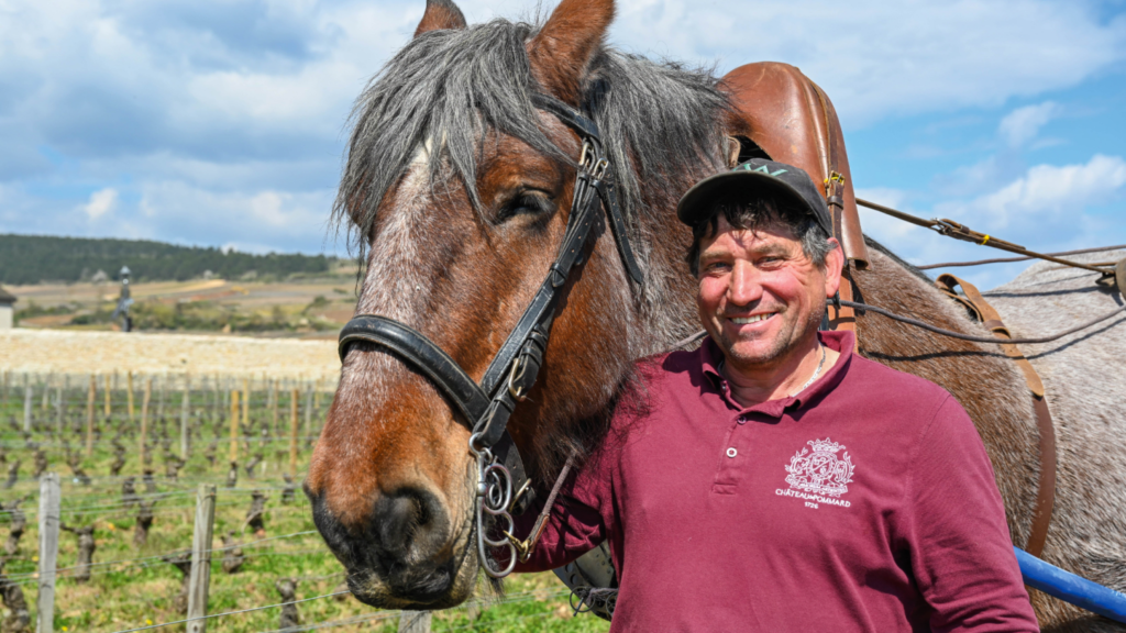 Meet our unique team: our horses