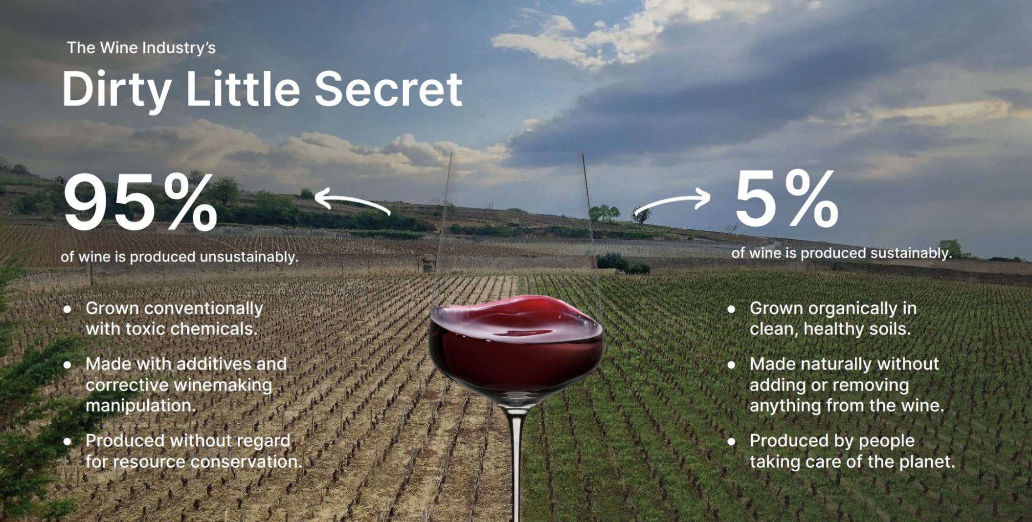 Château de Pommard in top bracket as organic and biodynamic wines thrive