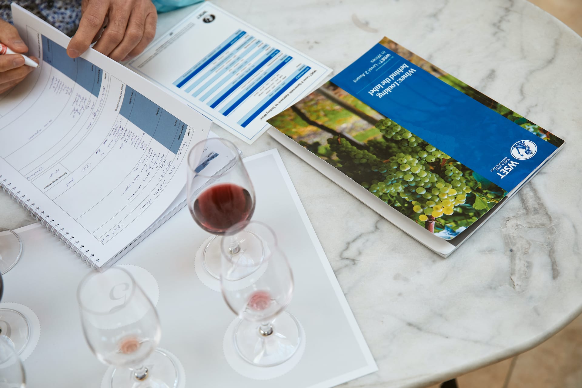 WSET Level 1 in Wines