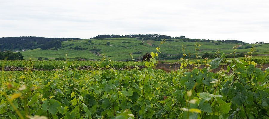 UNESCO World Heritage for Humanity: World Soil Day