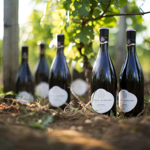 Nos Vins
