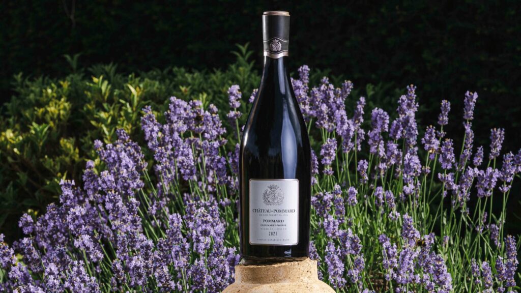 Our first 2021 cuvée review! Meet rising Insta star, Niels Aarts of Dutch Wine Apprentice.