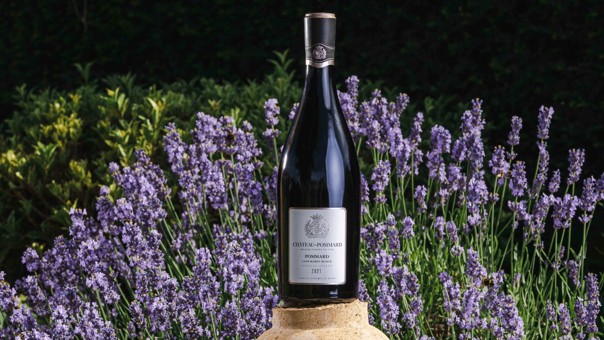 Our first 2021 cuvée review! Meet rising Insta star, Niels Aarts of Dutch Wine Apprentice.