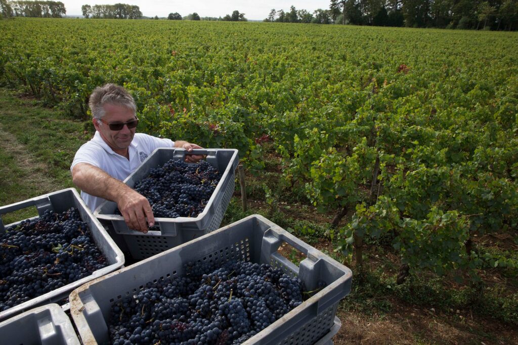 Clos Marey-Monge Name Restored and Biodynamic Conversion Begins