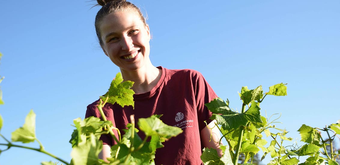 Growing and learning at Château de Pommard: Sabrina's story