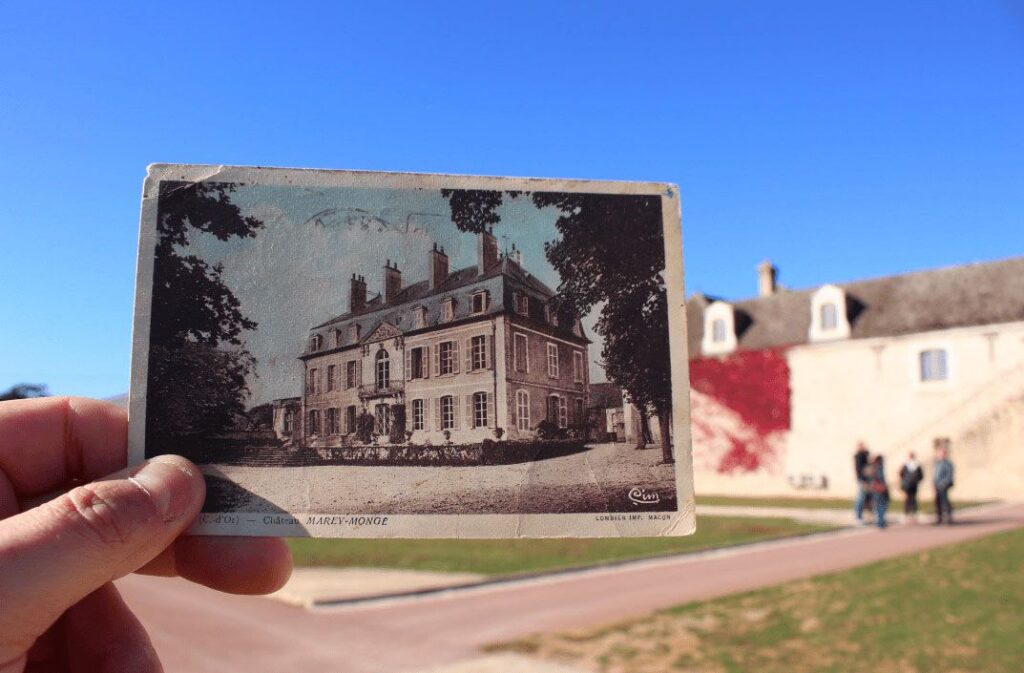 Taking History For A Walk In Pommard