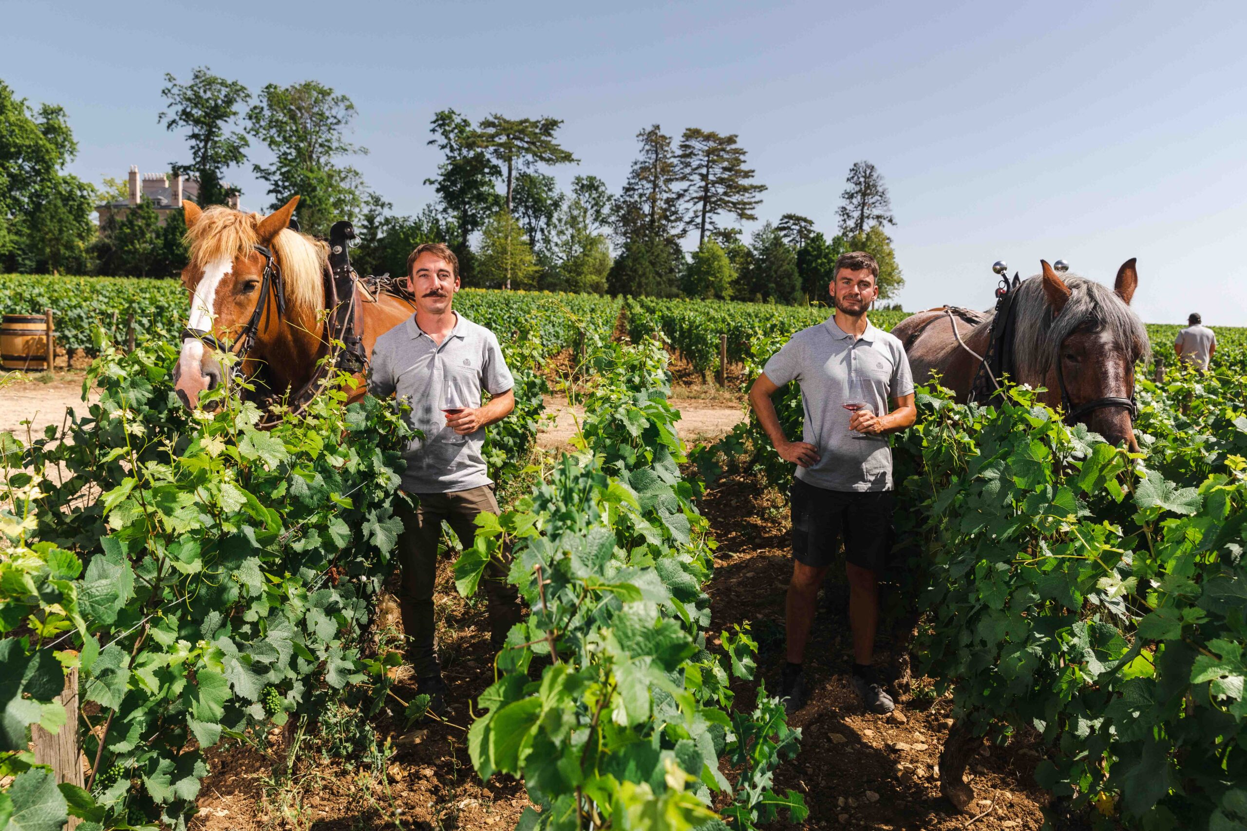 Winemaking Duo