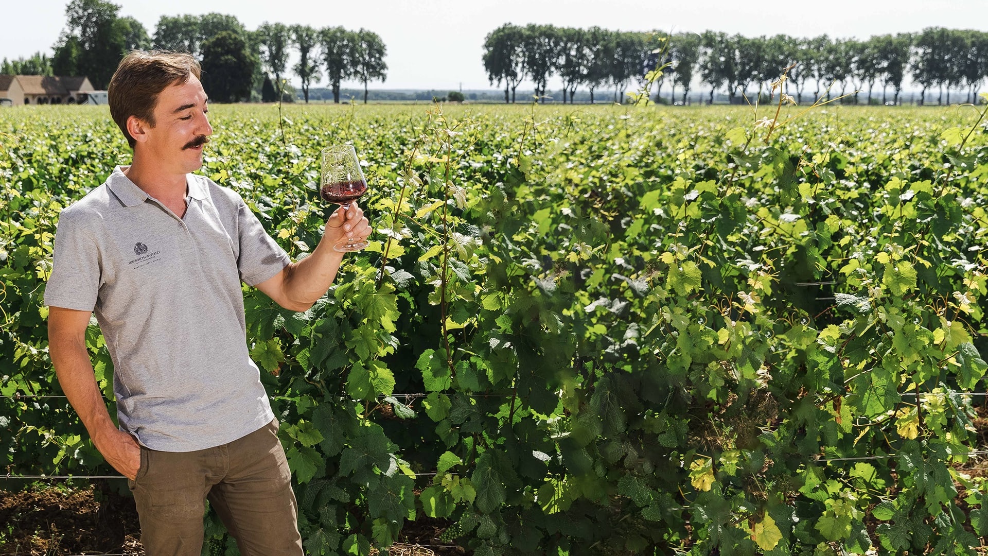 Certified biodynamic - Château de Pommard
